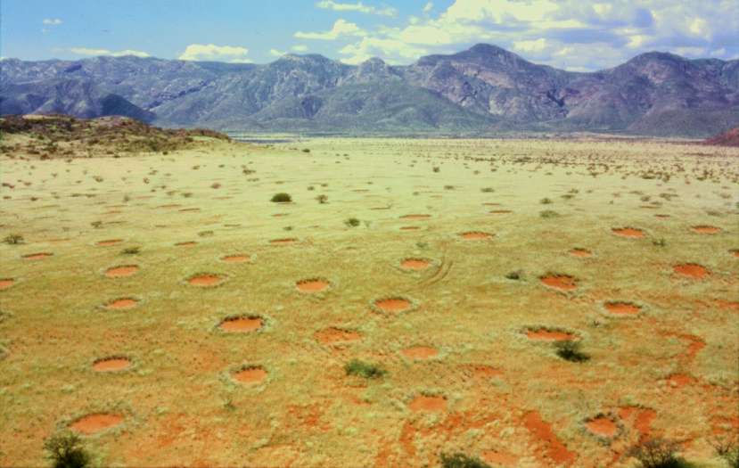 Feenkreise im Marienflusstal (Namibia) by  Thorsten Becker