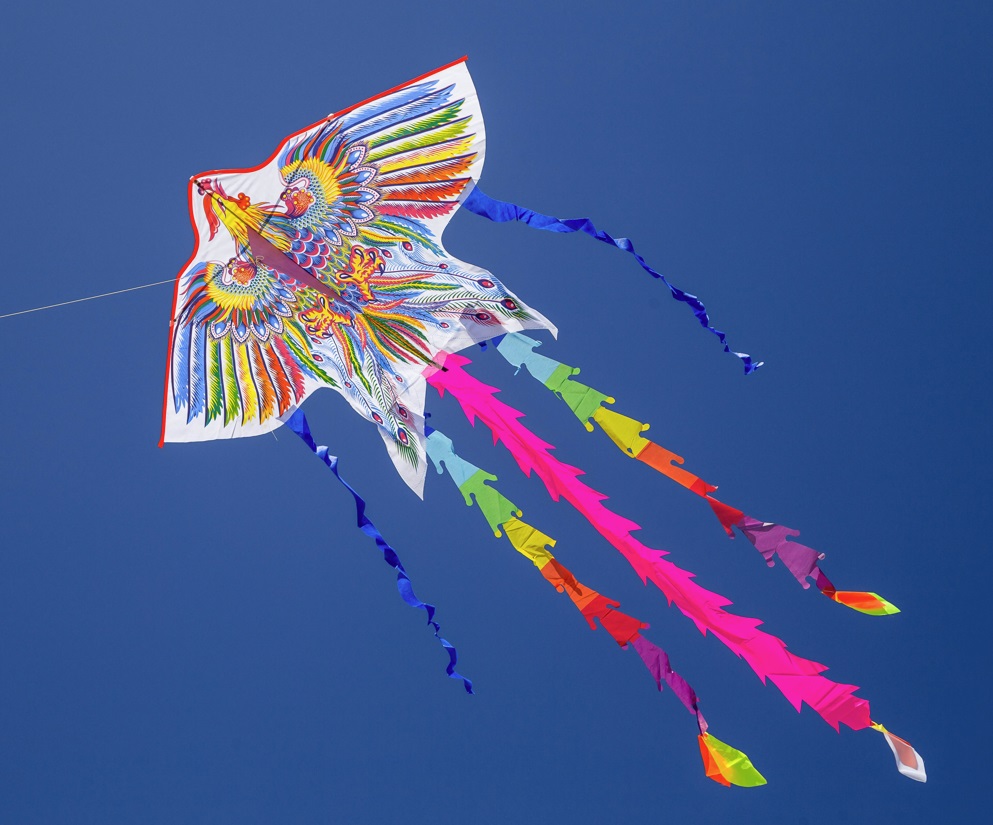 #スカイスポーツ カイト 中国　濰坊　風箏　魚凧　海外商品　风筝 kite 美品 スカイスポーツ カイト 中国 濰坊 風箏 魚凧 海外商品 风筝 kite