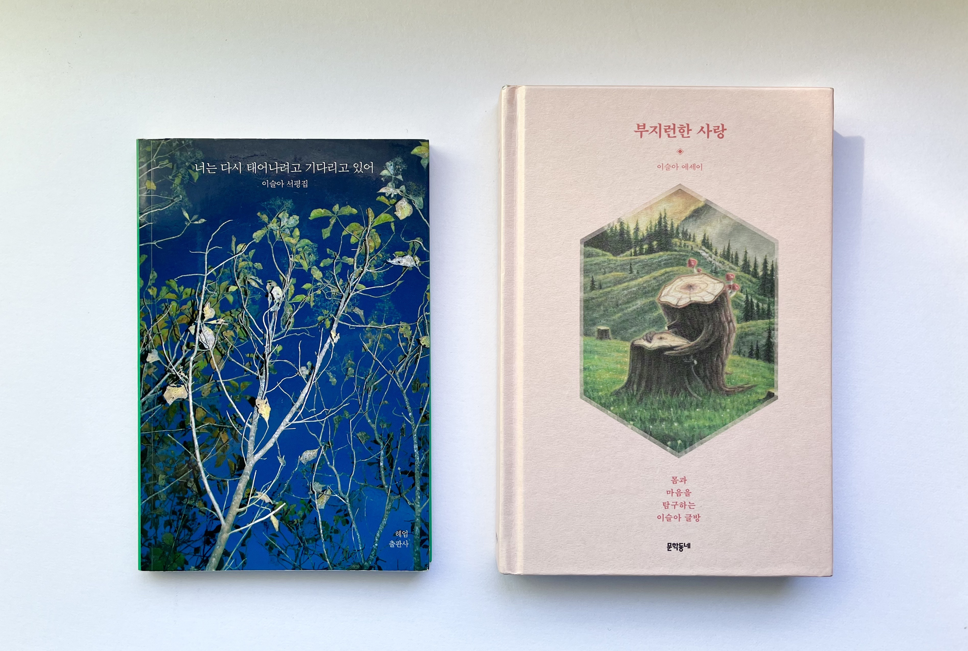 韓国時代劇のすべて イ・ビョンフン監督、全自作を語る 韓国時代劇のすべて-イ・ビョンフン監督、全自作を語る- (キネ旬ムック